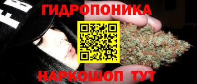 мяу мяу мука Донской